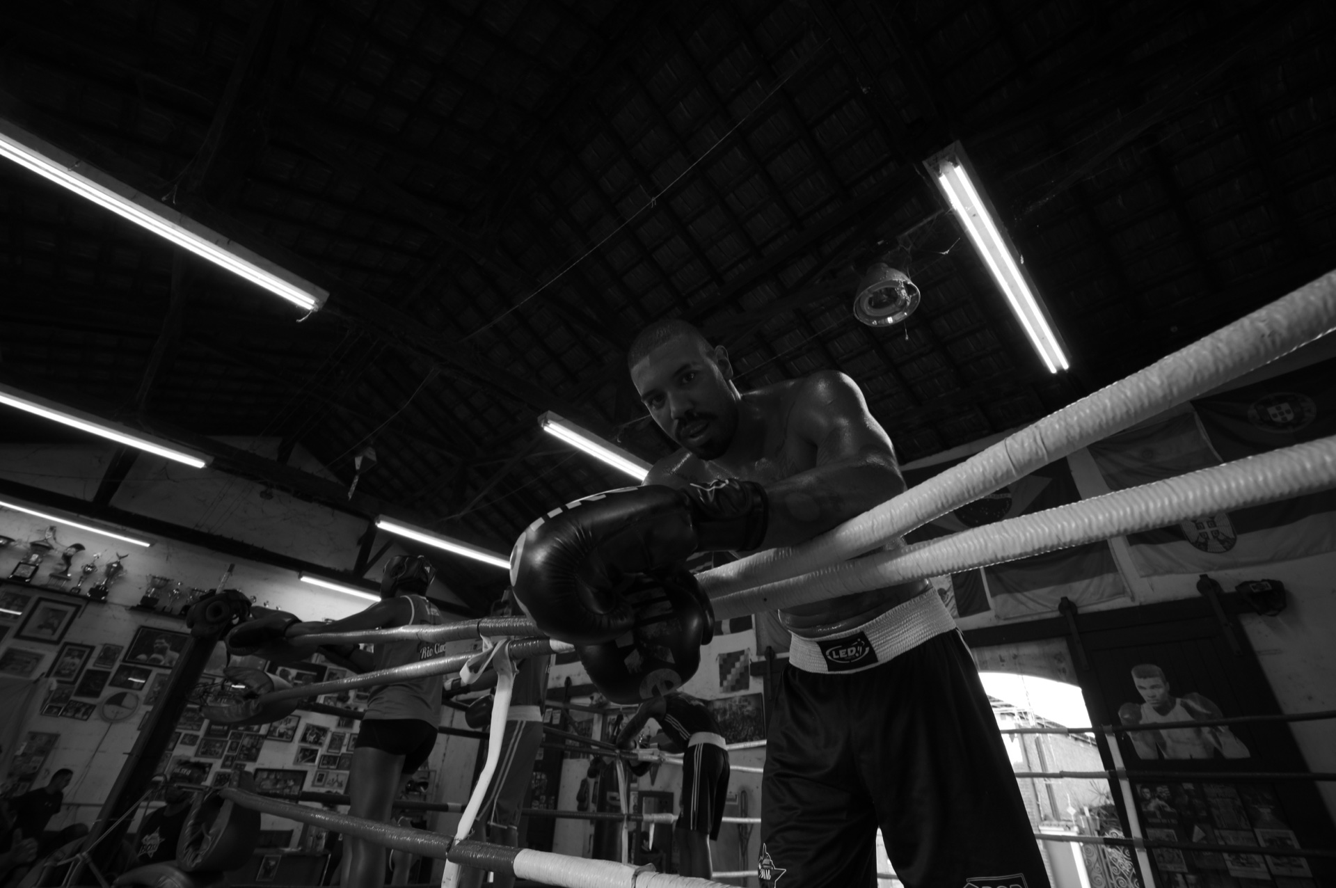 MMBOXE 7