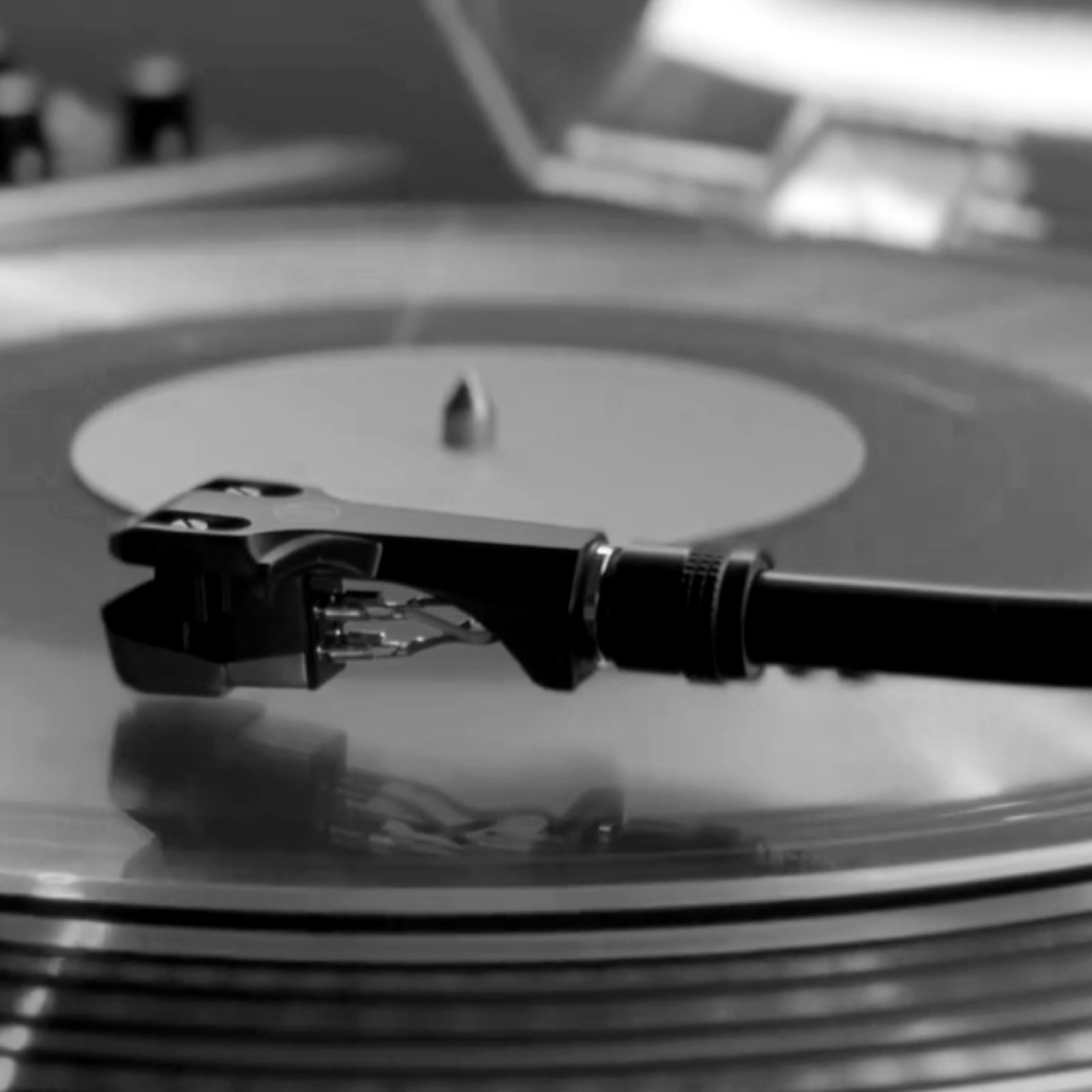 WAAVE 6